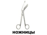 Ножницы
